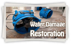 water clean up